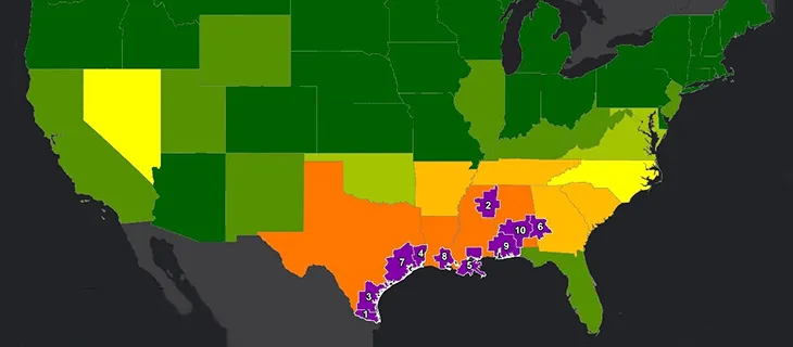 Walgreens Flu Index